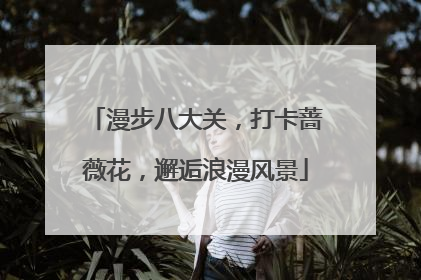 漫步八大关，打卡蔷薇花，邂逅浪漫风景