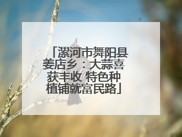 漯河市舞阳县姜店乡：大蒜喜获丰收 特色种植铺就富民路