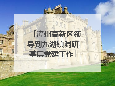 漳州高新区领导到九湖镇调研基层党建工作