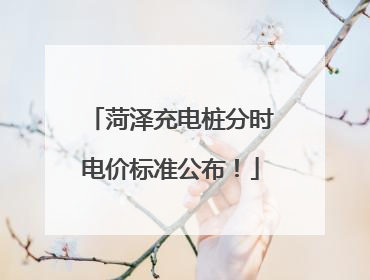 菏泽充电桩分时电价标准公布！