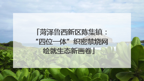 菏泽鲁西新区陈集镇：“四位一体”织密禁烧网 绘就生态新画卷