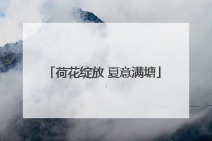 荷花绽放 夏意满塘