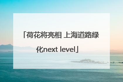 荷花将亮相 上海道路绿化next level