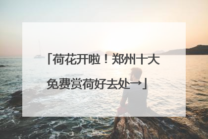 荷花开啦！郑州十大免费赏荷好去处→