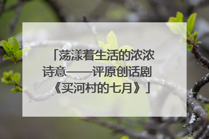 荡漾着生活的浓浓诗意——评原创话剧《买河村的七月》