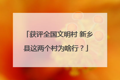 获评全国文明村 新乡县这两个村为啥行？