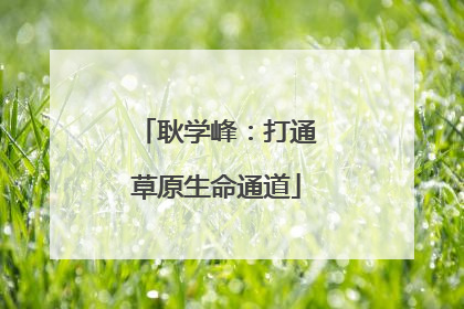 耿学峰：打通草原生命通道