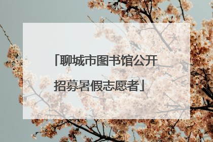 聊城市图书馆公开招募暑假志愿者