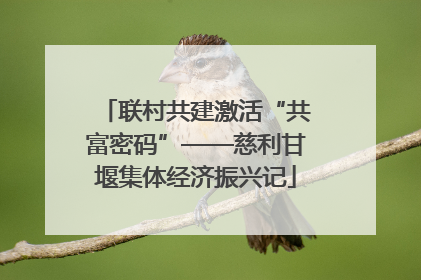 联村共建激活“共富密码”——慈利甘堰集体经济振兴记