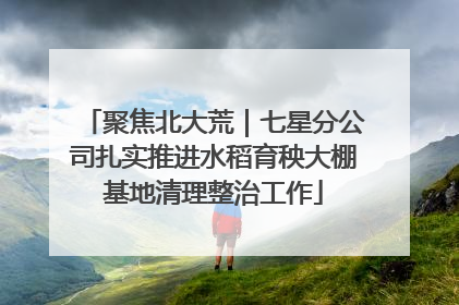 聚焦北大荒｜七星分公司扎实推进水稻育秧大棚基地清理整治工作