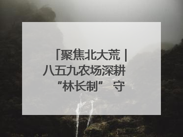 聚焦北大荒｜八五九农场深耕“林长制” 守护“生态绿”