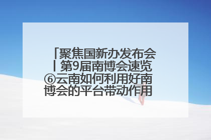 聚焦国新办发布会丨第9届南博会速览⑥云南如何利用好南博会的平台带动作用，深化与南亚国家的交流与合作？