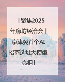 聚焦2025年廊坊经洽会丨京津冀首个AI招商选址大模型亮相