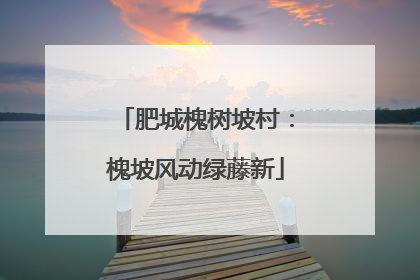 肥城槐树坡村：槐坡风动绿藤新
