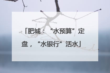 肥城：“水预算”定盘，“水银行”活水