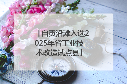自贡沿滩入选2025年省工业技术改造试点县