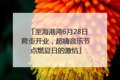 至海港湾6月28日隆重开业，超嗨音乐节点燃夏日的激情