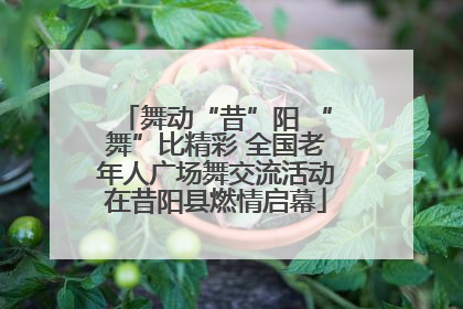 舞动“昔”阳 “舞”比精彩 全国老年人广场舞交流活动在昔阳县燃情启幕