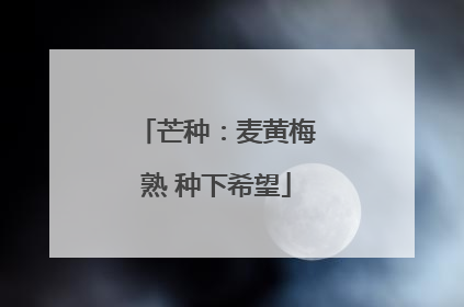 芒种：麦黄梅熟 种下希望