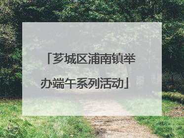芗城区浦南镇举办端午系列活动