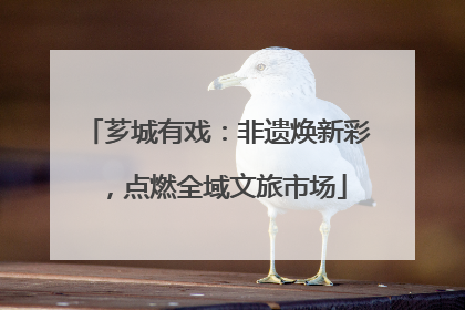 芗城有戏：非遗焕新彩，点燃全域文旅市场