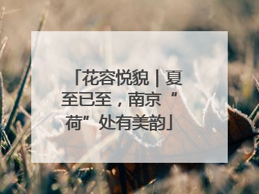 花容悦貌｜夏至已至，南京“荷”处有美韵