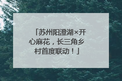 苏州阳澄湖×开心麻花，长三角乡村首度联动！