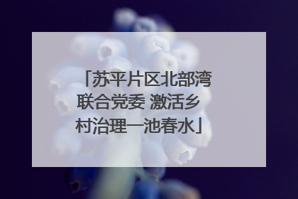 苏平片区北部湾联合党委 激活乡村治理一池春水