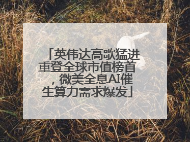 英伟达高歌猛进重登全球市值榜首，微美全息AI催生算力需求爆发