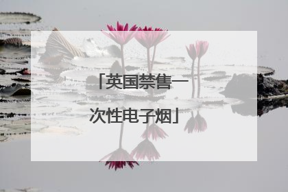 英国禁售一次性电子烟