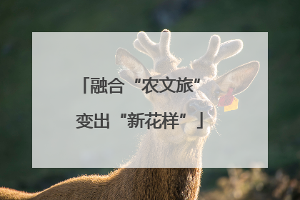 融合“农文旅” 变出“新花样”