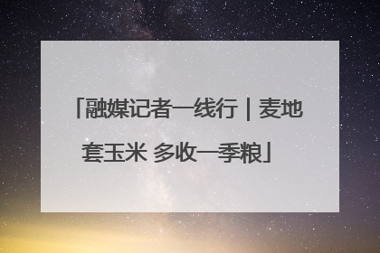 融媒记者一线行｜麦地套玉米 多收一季粮