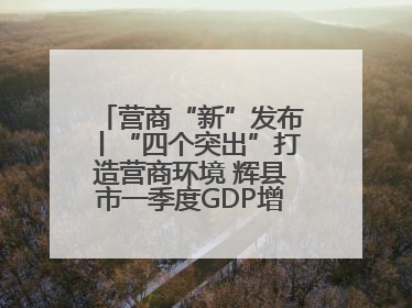 营商“新”发布丨“四个突出”打造营商环境 辉县市一季度GDP增长6.9% 36个重点项目落地