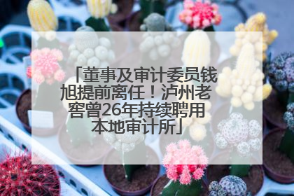 董事及审计委员钱旭提前离任！泸州老窖曾26年持续聘用本地审计所