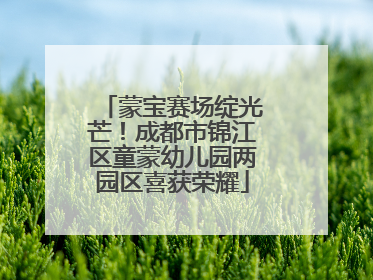 蒙宝赛场绽光芒！成都市锦江区童蒙幼儿园两园区喜获荣耀