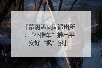蒙阴孟良崮派出所：“小推车”推出平安好“枫”景