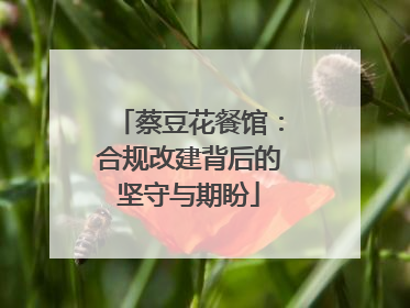 蔡豆花餐馆：合规改建背后的坚守与期盼