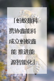 蚂蚁数科携协鑫能科成立蚂蚁鑫能 推进能源智能化
