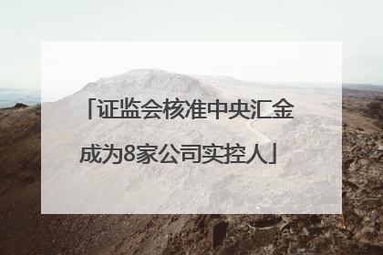 证监会核准中央汇金成为8家公司实控人