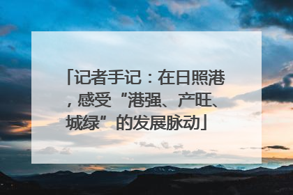 记者手记：在日照港，感受“港强、产旺、城绿”的发展脉动