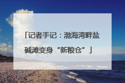 记者手记：渤海湾畔盐碱滩变身“新粮仓”