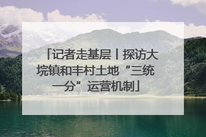 记者走基层丨探访大垸镇和丰村土地“三统一分”运营机制