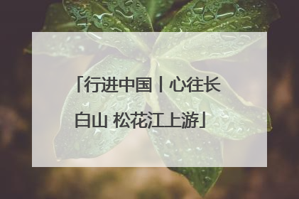 行进中国丨心往长白山 松花江上游