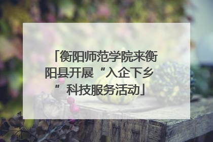 衡阳师范学院来衡阳县开展“入企下乡”科技服务活动