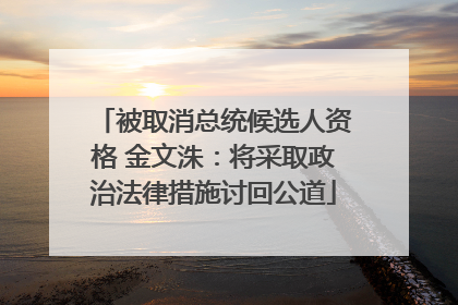 被取消总统候选人资格 金文洙：将采取政治法律措施讨回公道