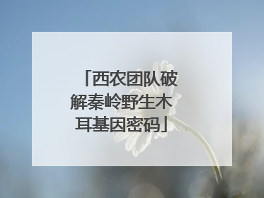 西农团队破解秦岭野生木耳基因密码