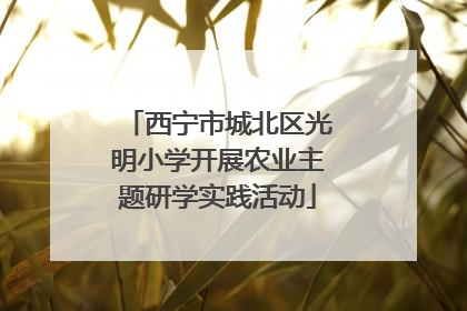 西宁市城北区光明小学开展农业主题研学实践活动