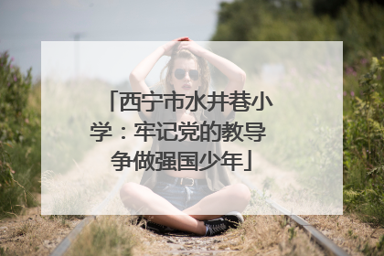 西宁市水井巷小学：牢记党的教导 争做强国少年