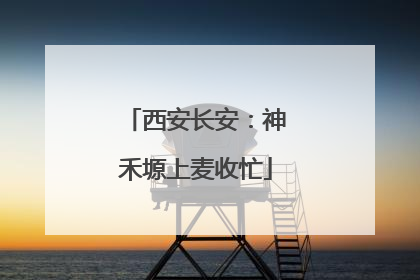 西安长安：神禾塬上麦收忙