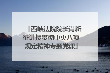 西峡法院院长肖新征讲授贯彻中央八项规定精神专题党课